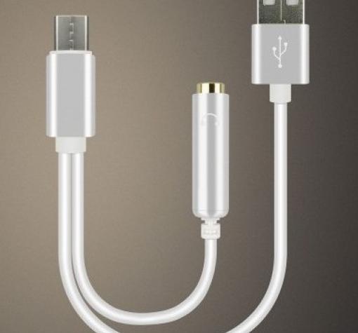 Short Type-C USB Charging Cable and 3.5mm Jack AUX Headphone Audio Adapter - сребрист