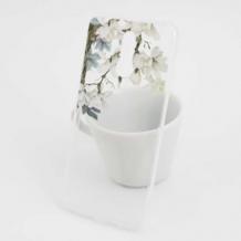 Прозрачен / Jasmine