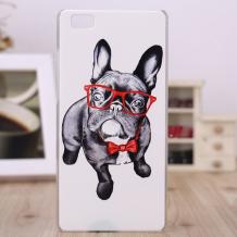 Бял / Fashion Dog